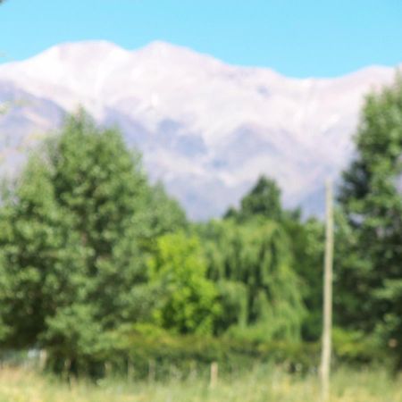 Cabana Uspallata, Mendoza. Para 4 Personas Villa Dış mekan fotoğraf